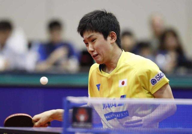 定甩卖两大 定甩卖两大