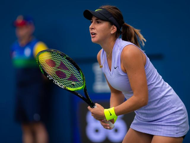 森林狼的表 森林狼的表