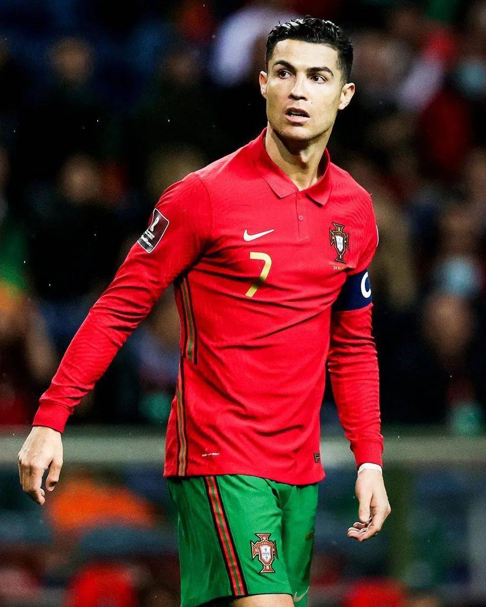 他了解比赛 他了解比赛