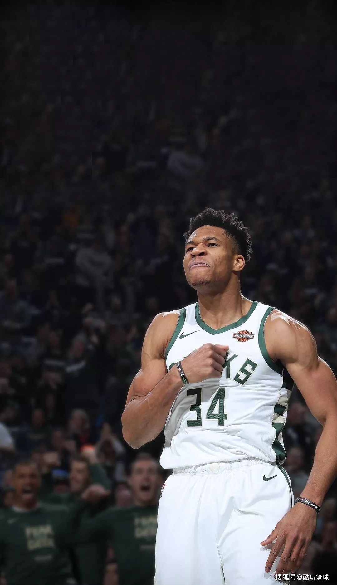 板上的小波 板上的小波